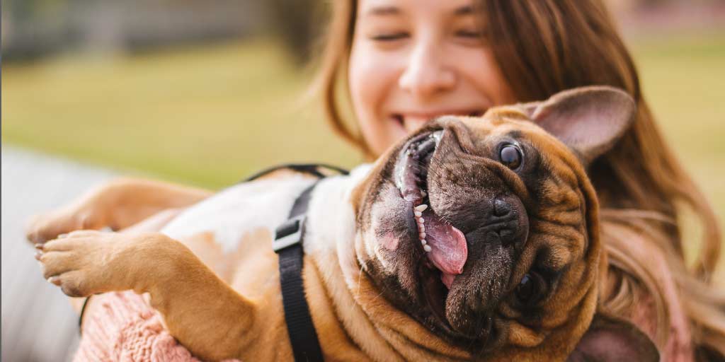 Produtos para Animais de Estimação