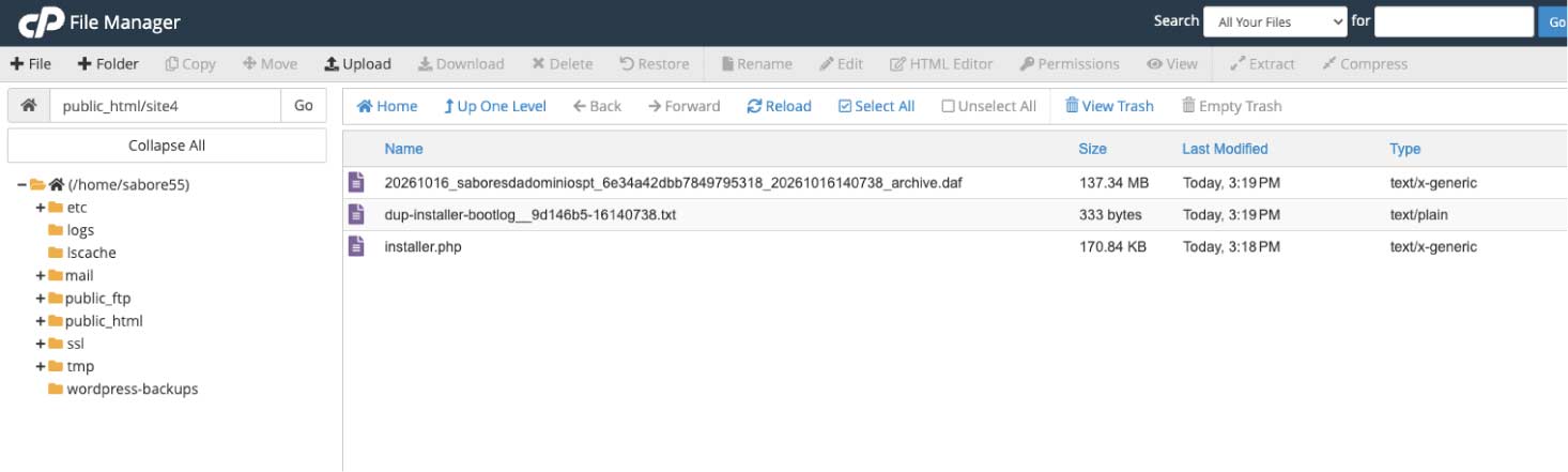file manager cpanel
